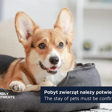 Kramarska - 24h - Old Market Square By Friendly Lejlighed *