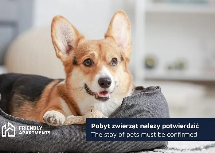 Kramarska - 24h - Old Market Square By Friendly Lejlighed *